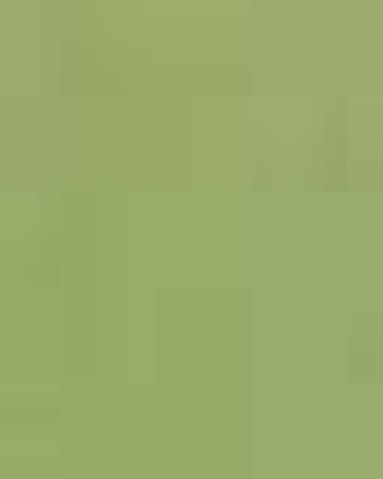 Unisex Vintage Garment-Dyed T-Shirt