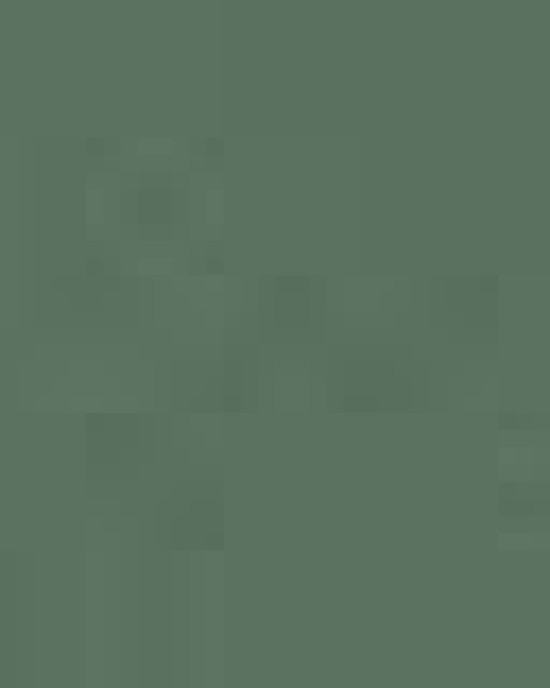 Unisex Vintage Garment-Dyed T-Shirt