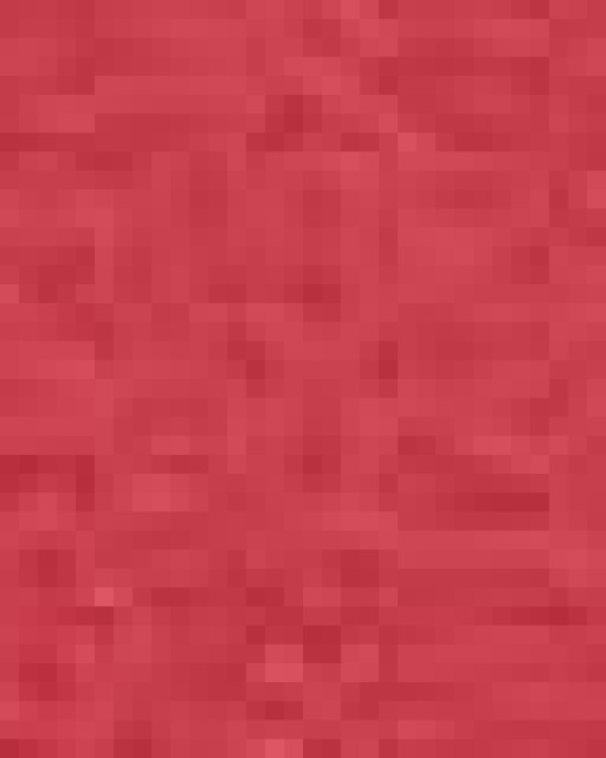 Women's Soft Touch Polo