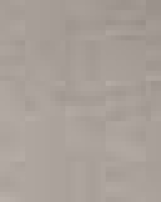 Unisex Festival T-Shirt