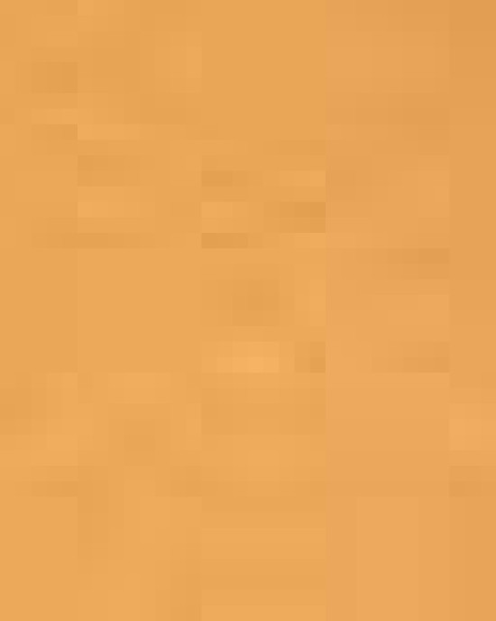 Unisex Festival T-Shirt