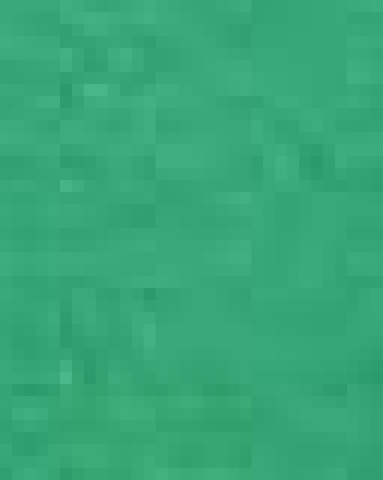 Unisex Festival T-Shirt