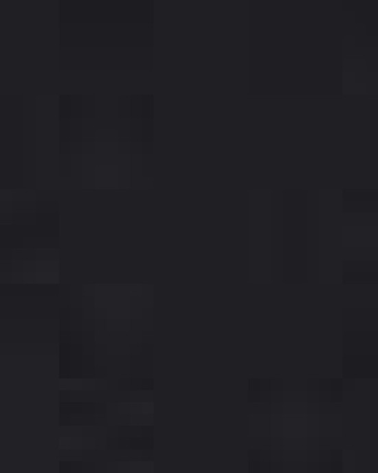 Unisex Festival T-Shirt