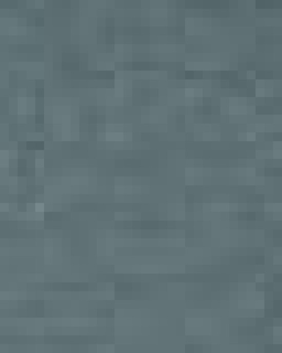 Unisex Festival T-Shirt