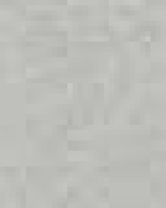 Unisex Fleece Hooded Sweatshirt