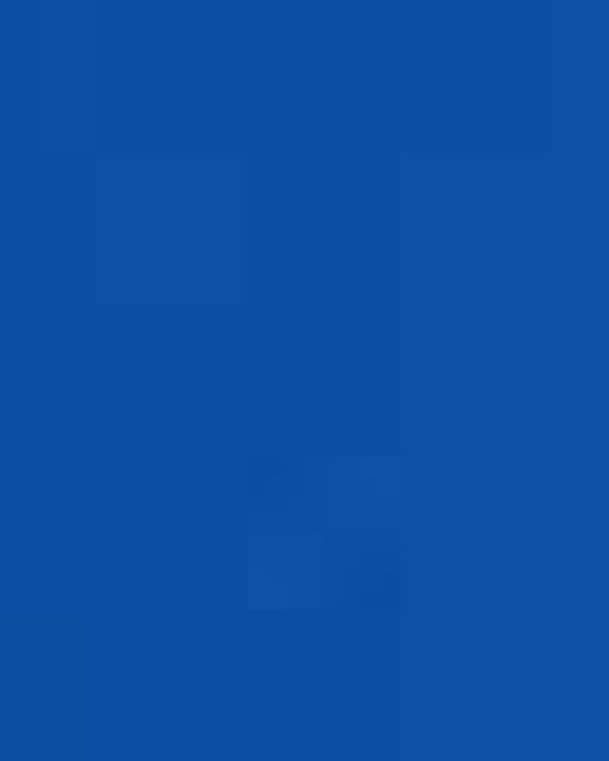 Unisex Fleece Hooded Sweatshirt