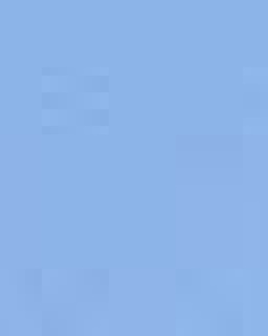 Unisex Heavy Cotton™ Long Sleeve T-Shirt