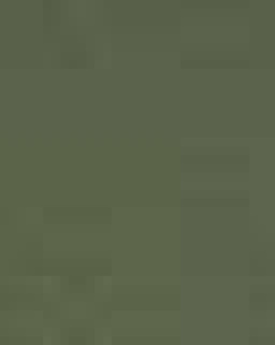 Unisex Heavy Cotton™ Long Sleeve T-Shirt