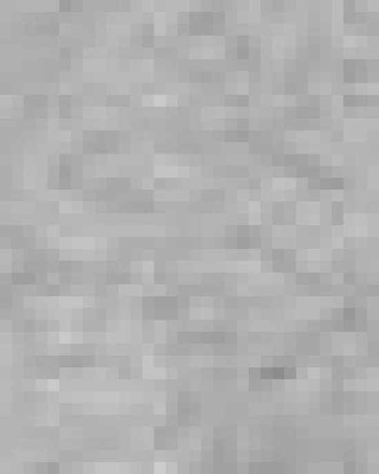 Women's Heavyweight Crewneck Sweatshirt