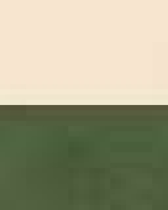 Economical Tote with Contrast-Color Handles