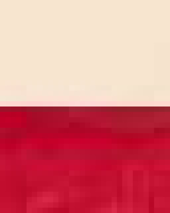 Economical Tote with Contrast-Color Handles