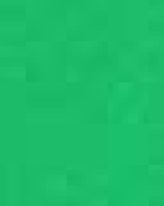 Unisex Ultra Cotton® Long Sleeve T-Shirt