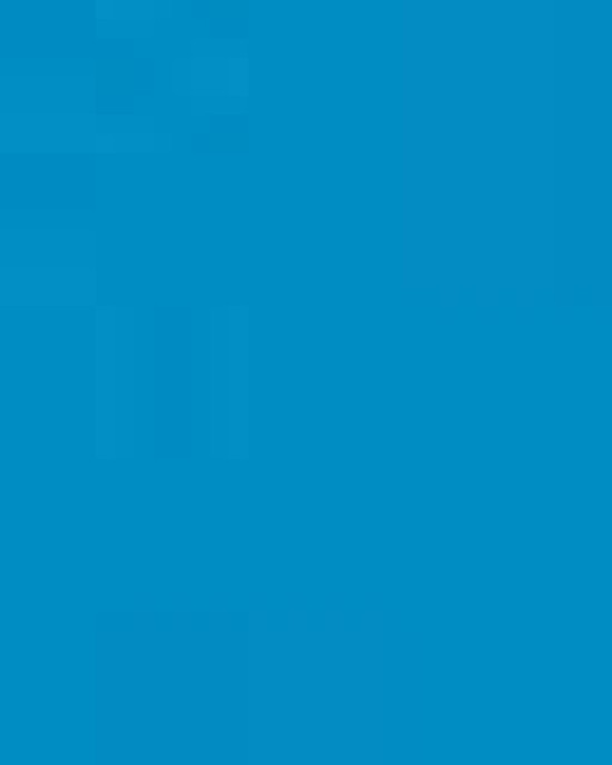 Unisex Ultra Cotton® Long Sleeve T-Shirt