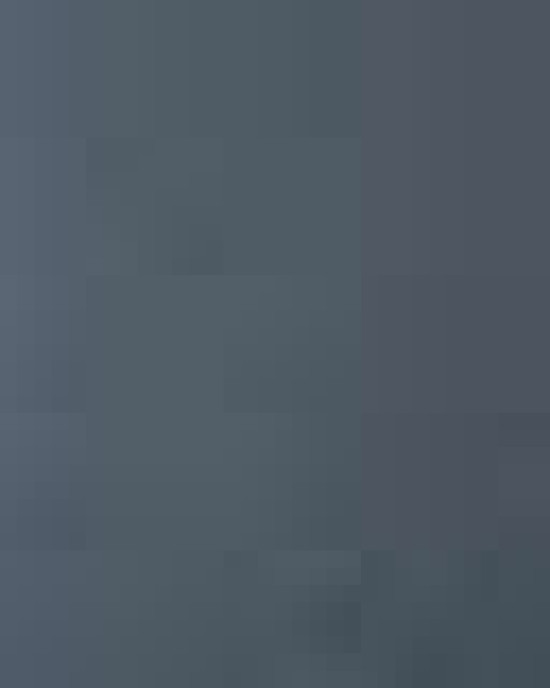 Women's 6 oz Heavyweight Tee