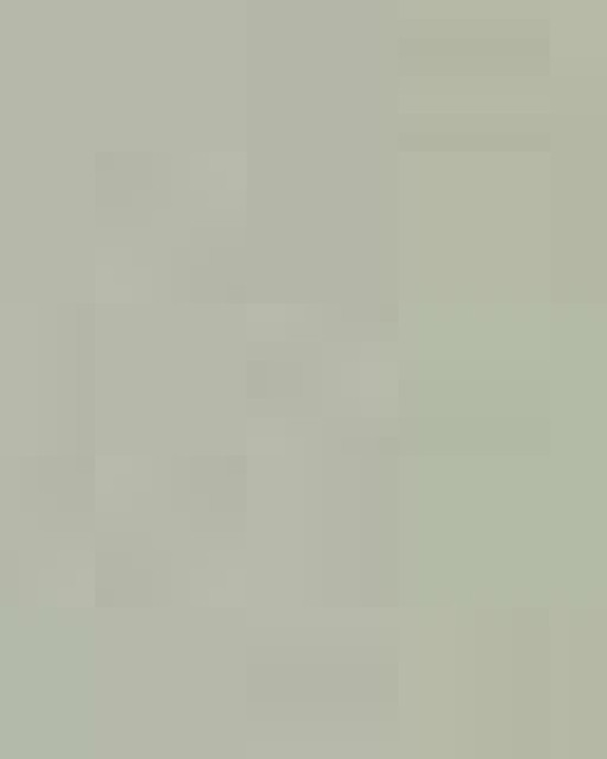 Women's California Wave Wash Crewneck Sweatshirt