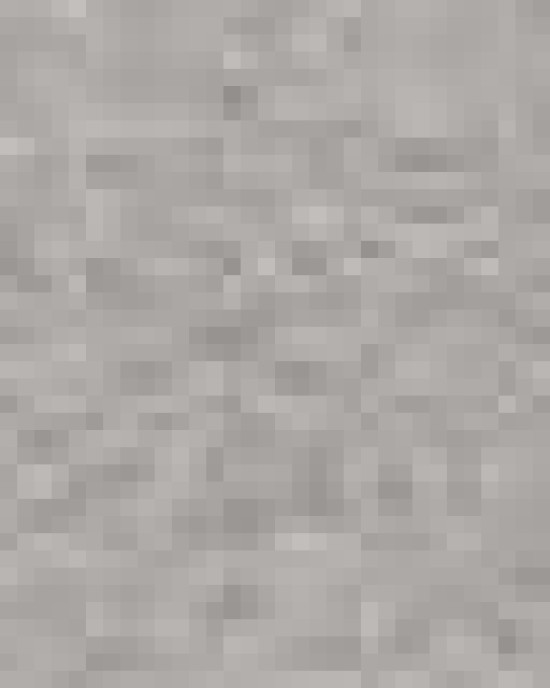 Unisex Cotton Gym Shorts