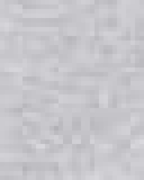 Unisex Cotton Gym Shorts