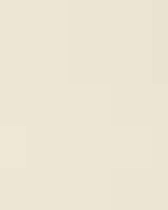 Infant Fine Jersey Long Sleeve Bodysuit