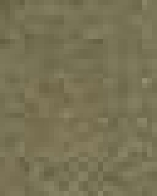 Men's Terry Loop Crewneck Sweatshirt