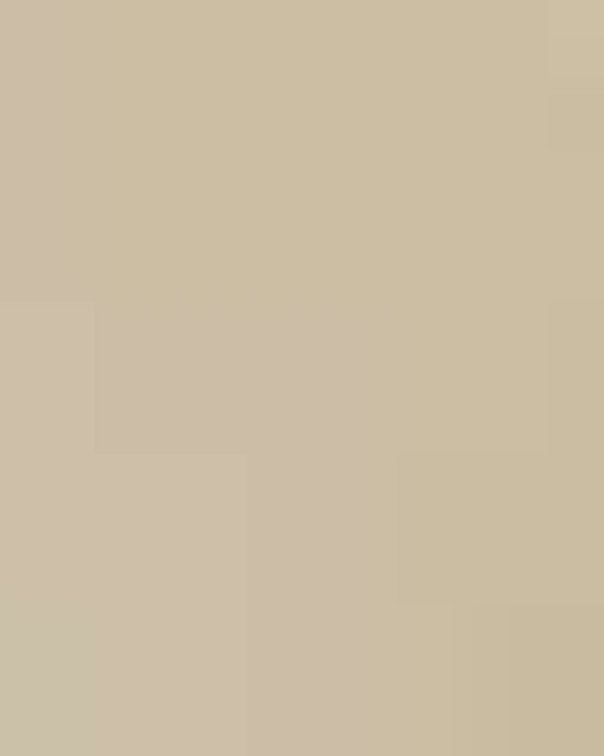 Men's Terry Loop Crewneck Sweatshirt