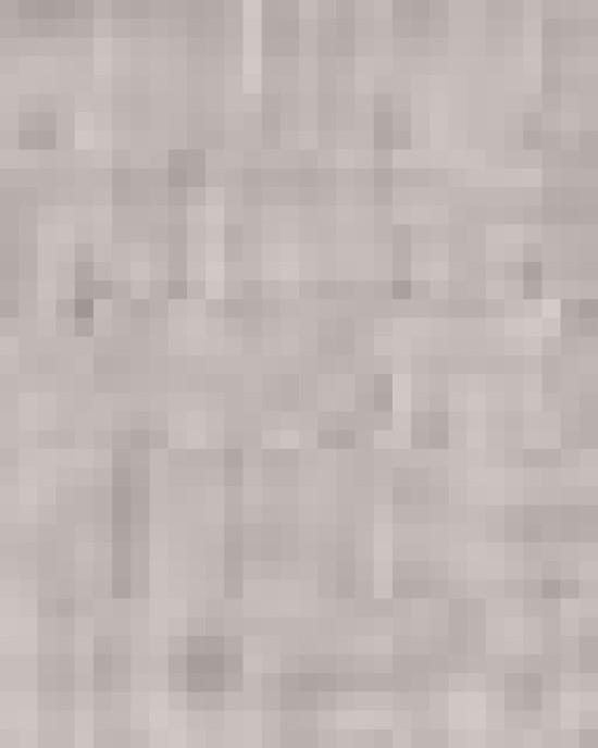 Premium Curved Bill Snapback Cap