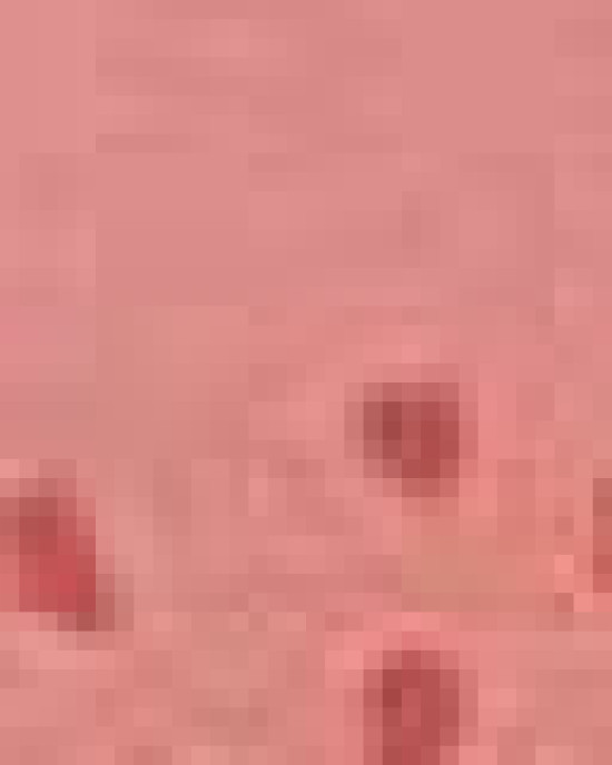 Toddler Fine Jersey Dress