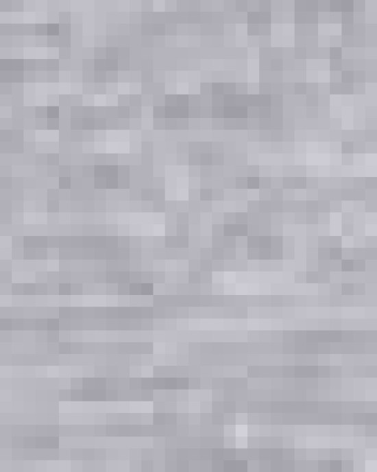 Unisex Performance® T-Shirt