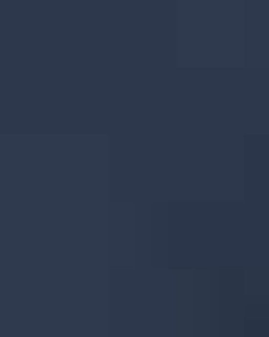 Sustainable Performance Max Cap