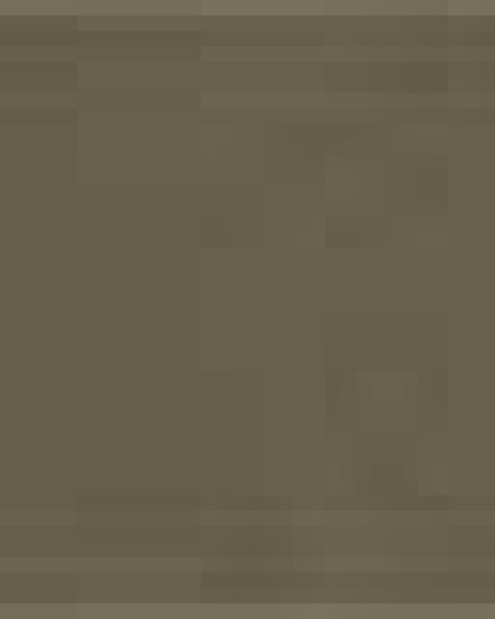 Unisex Heavyweight Cotton Tee