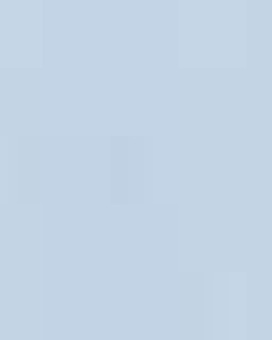 Unisex Heavyweight Cotton Tee