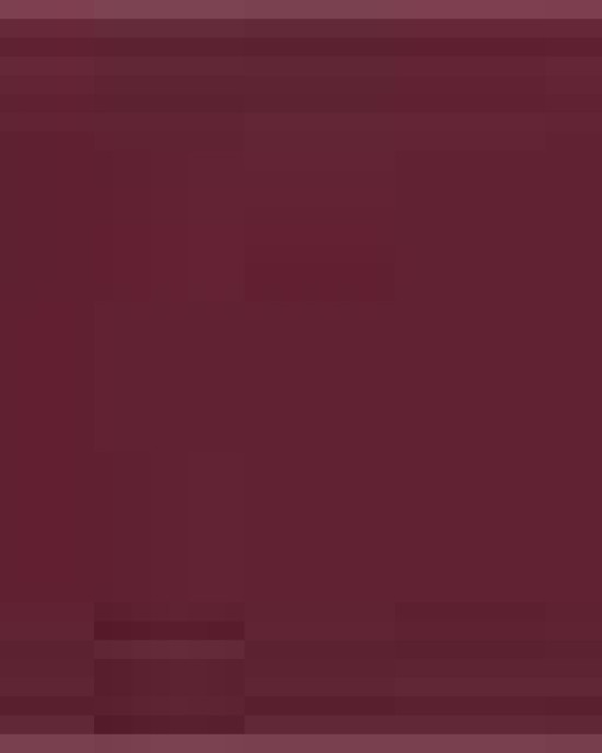 Unisex Heavyweight Cotton Tee