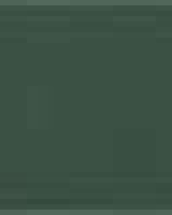 Unisex Heavyweight Cotton Tee