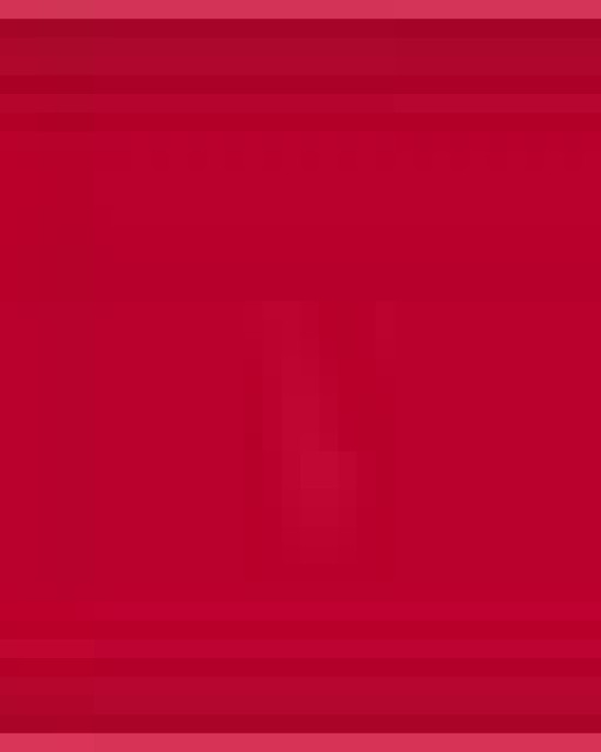 Unisex Heavyweight Cotton Tee