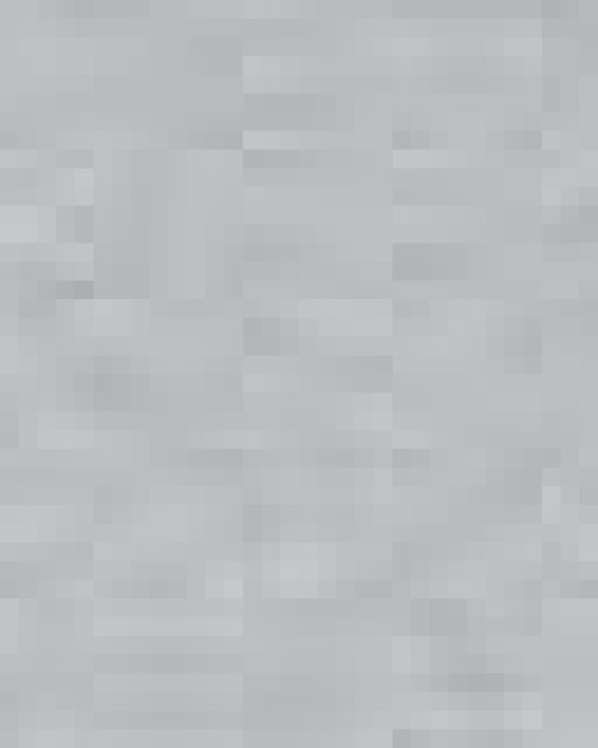 Women's Blended Polo