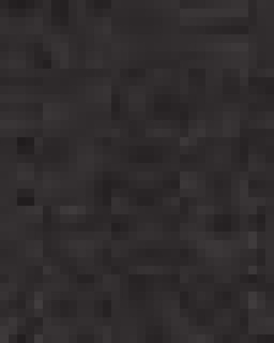 Unisex Icon Lightweight Loopback Terry Crewneck Sweatshirt