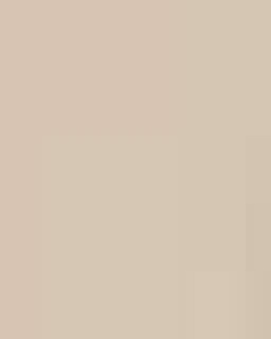 Unisex Icon Lightweight Loopback Terry Crewneck Sweatshirt