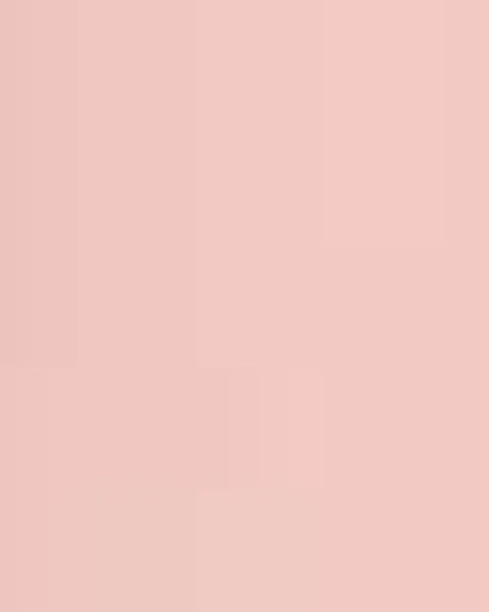 Unisex Icon Lightweight Loopback Terry Crewneck Sweatshirt