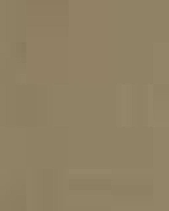 Unisex Icon Lightweight Loopback Terry Crewneck Sweatshirt