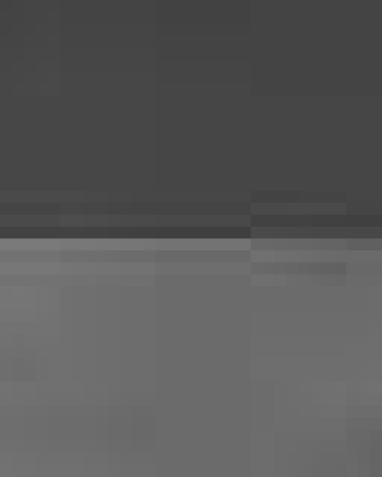 Undeniable 5.0 SM Duffel Bag