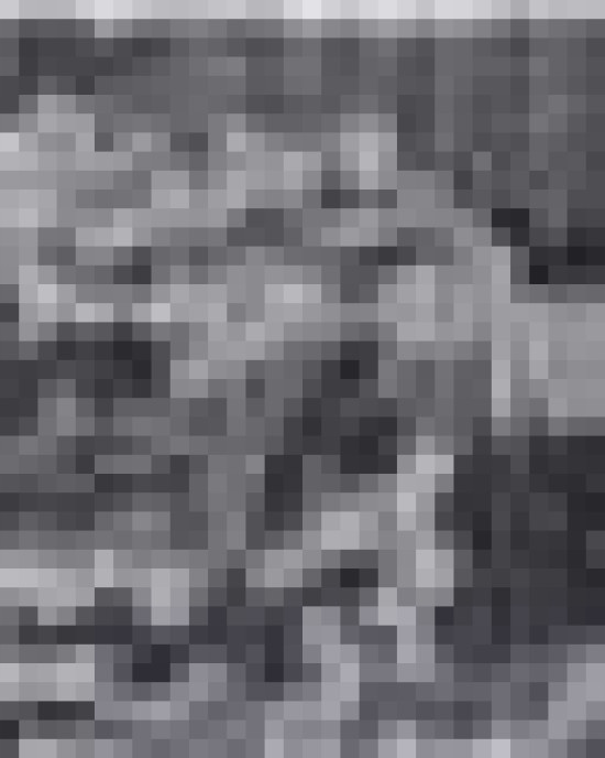 Men's Nylon Vest with Fleece Sleeves