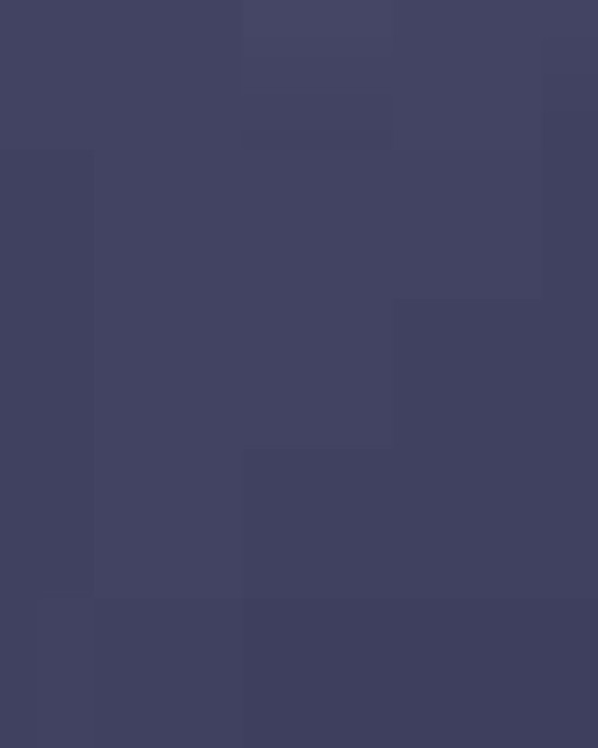 Women's Storm Armour Fleece