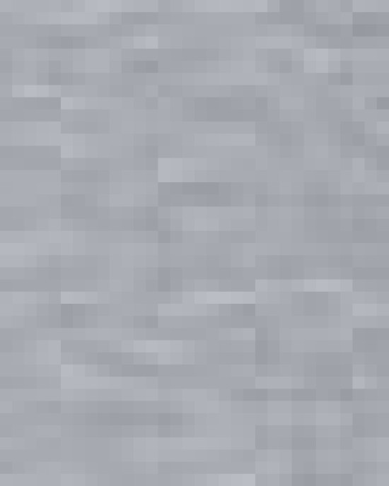 Men's Trophy Level Polo