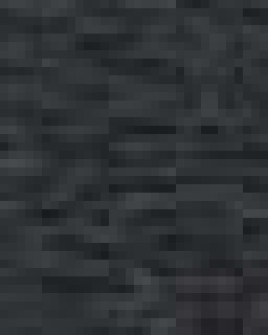 Men's Trophy Level Polo