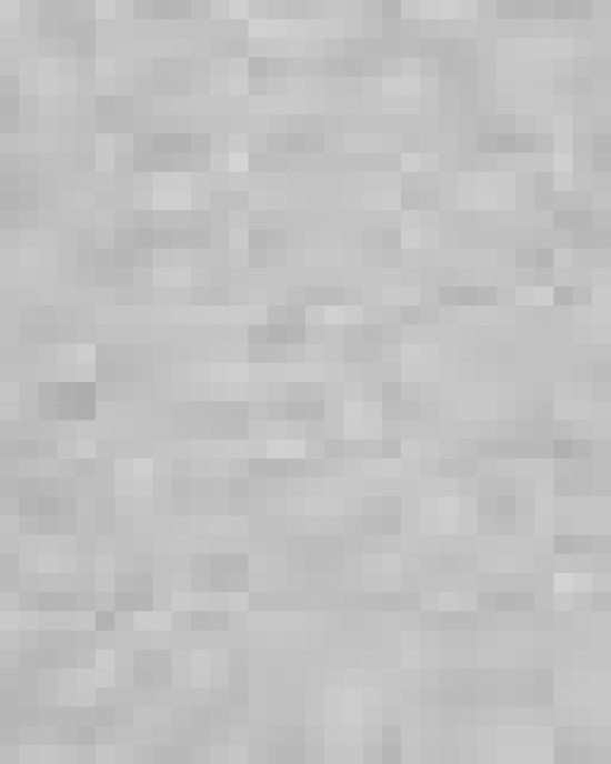 Women's Rival Fleece Crewneck Sweatshirt