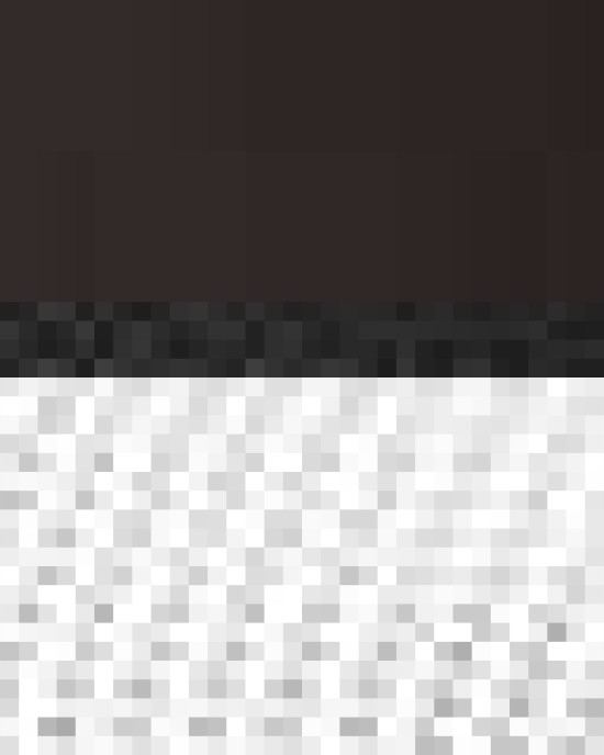 Snapback Trucker Cap