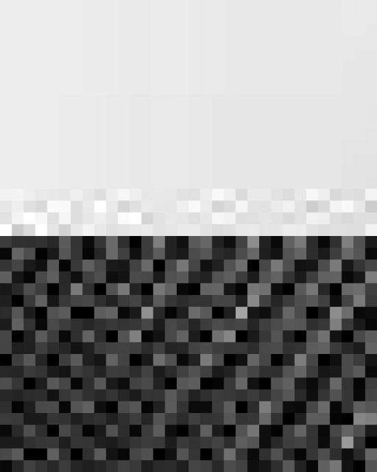 Snapback Trucker Cap