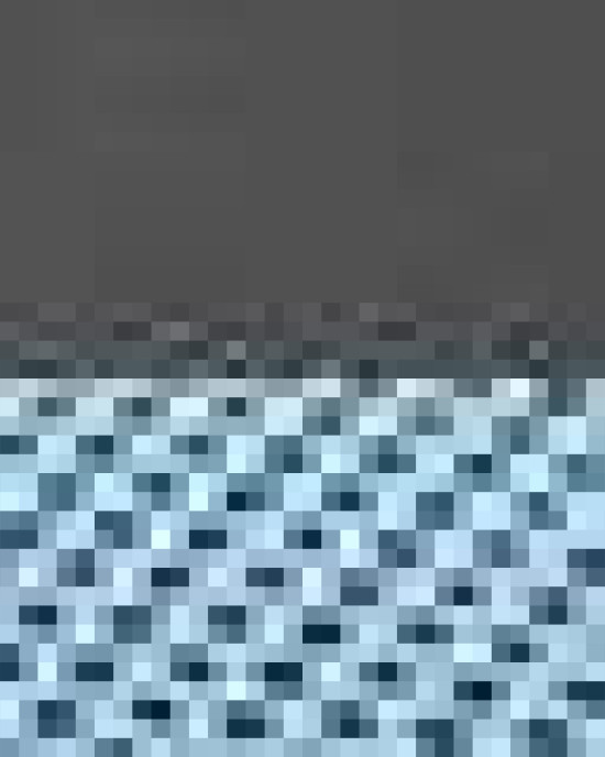 Snapback Trucker Cap