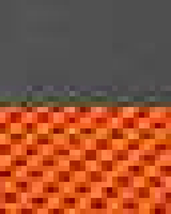 Snapback Trucker Cap