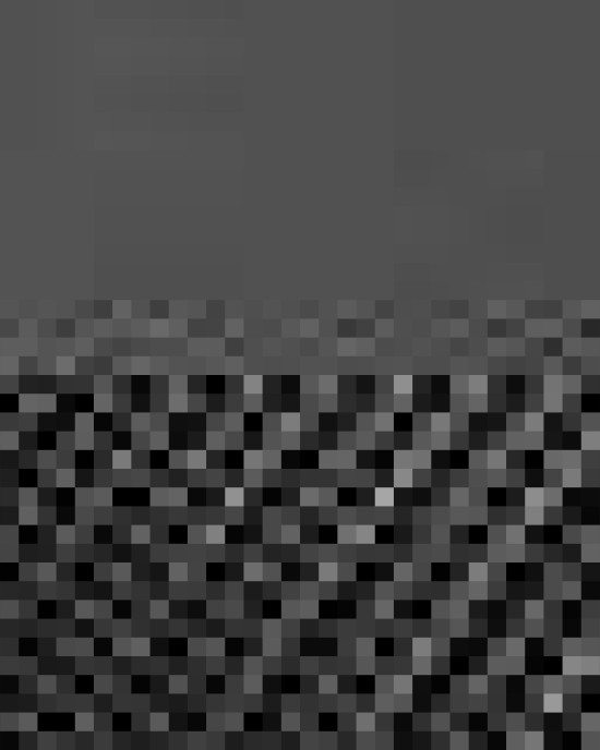 Snapback Trucker Cap