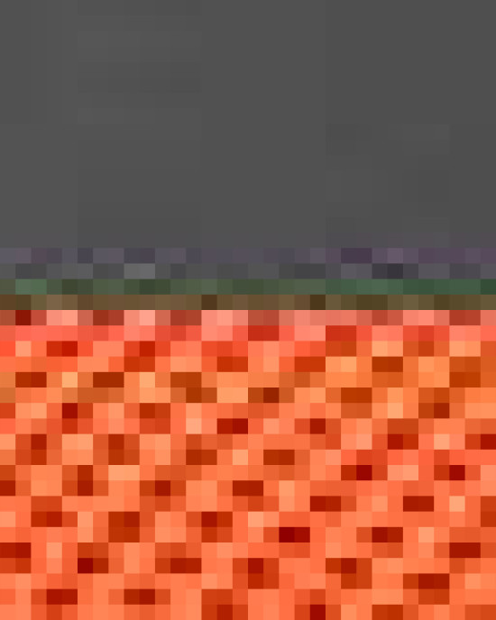 Snapback Trucker Cap